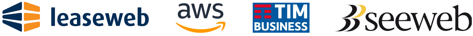 Leaseweb, AWS, TIM Business, Seeweb